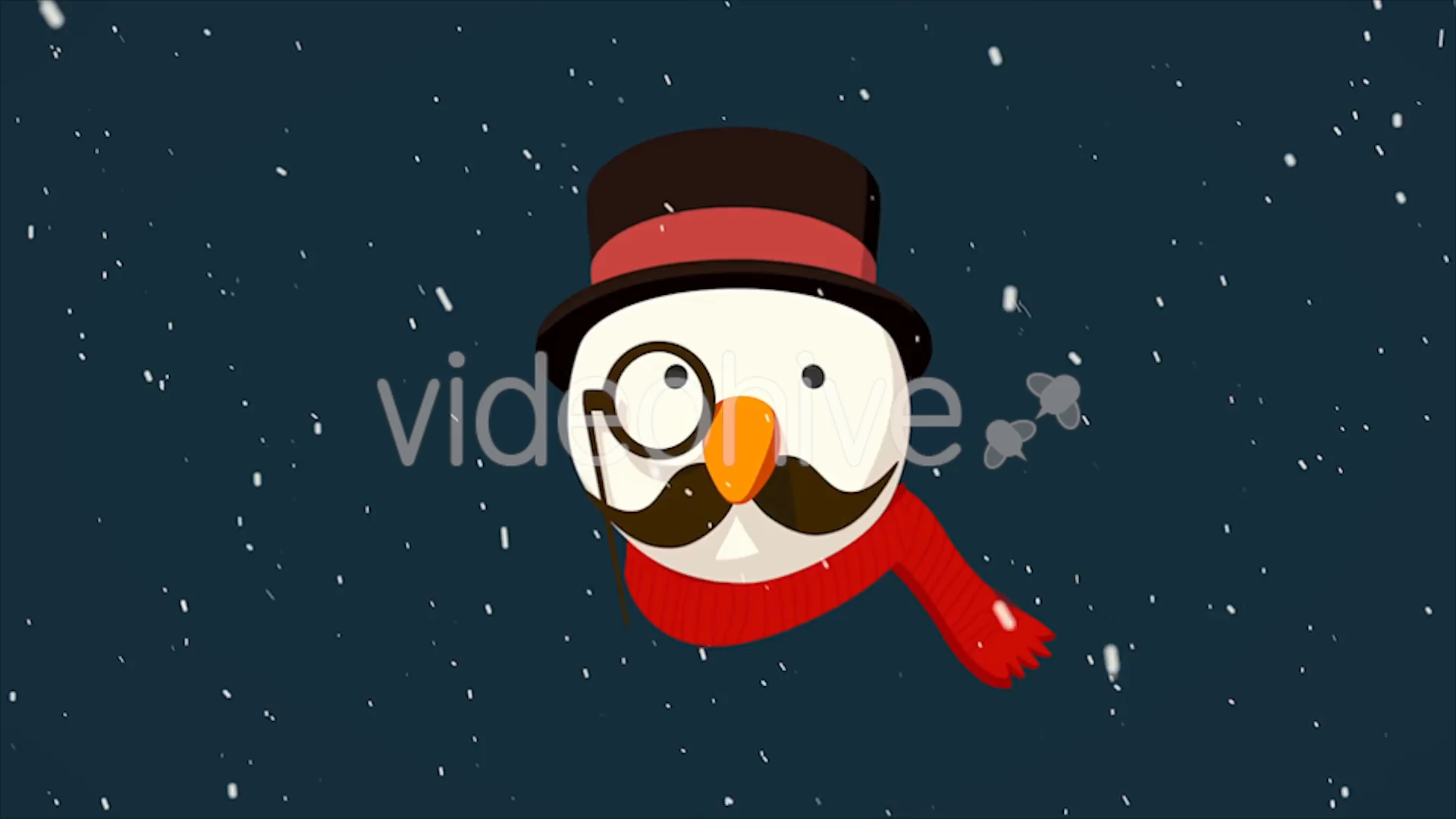 video-capture-3.99seg-8165 Christmas All Seasons Video Greeting