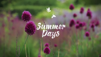 video-capture-1.34seg-8843 Vacation Travel Hand Drawn Titles