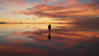 Light Leaks Transitions