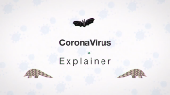 Corona Virus - Covid-19 Explainer