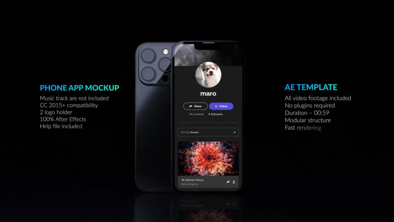 Website Or Phone App Presentation