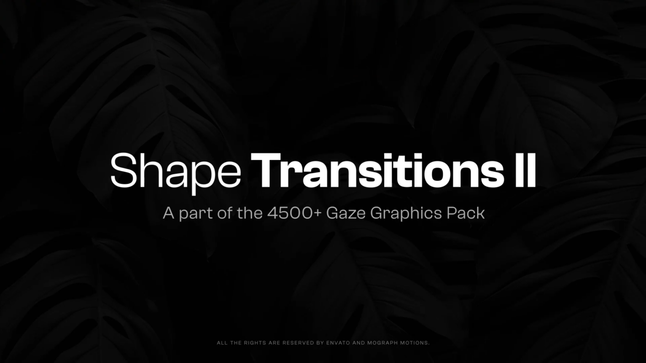 10 Shape Transitions II