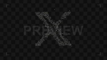 Twitter X Transition