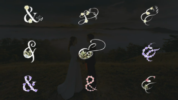 Romantic & Wedding AMPs