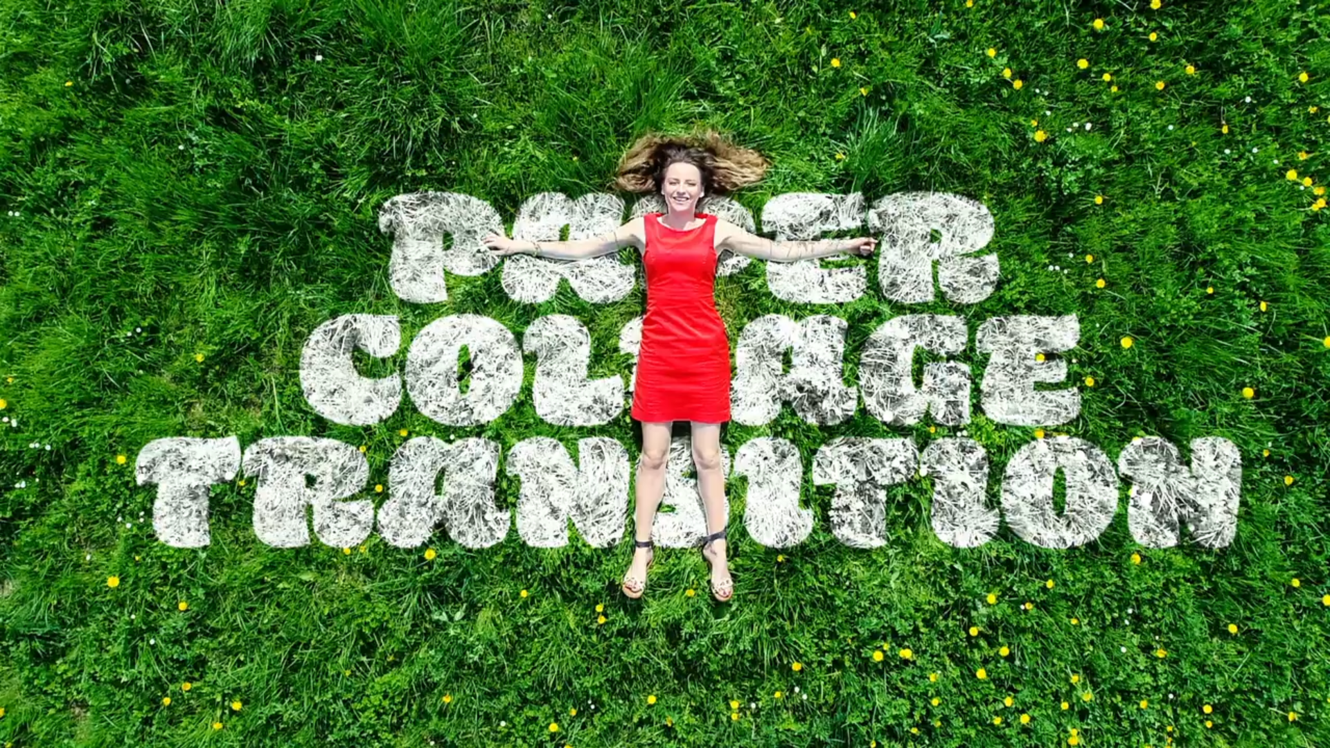 Paper Collage Transitions