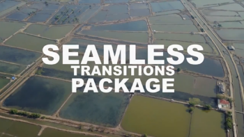 Seamless Transition - Essential Package