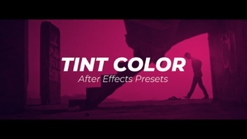 Tint Color