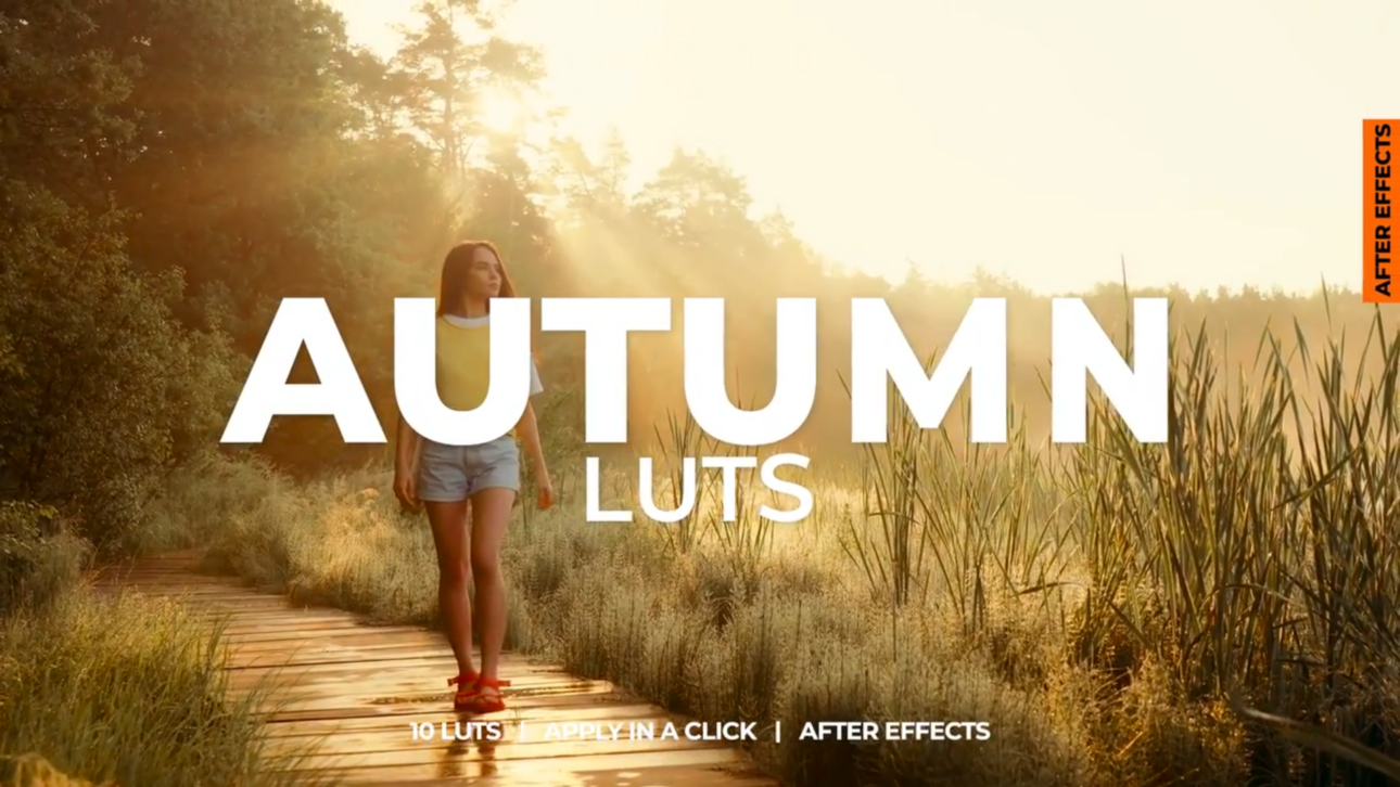 Autumn LUTs