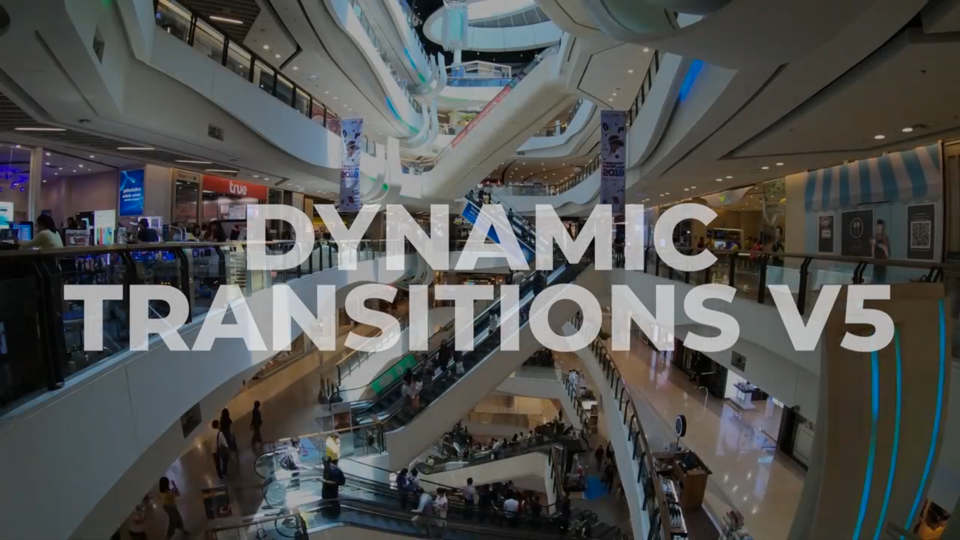 Dynamic Transitions V5