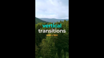 Vertical Transitions