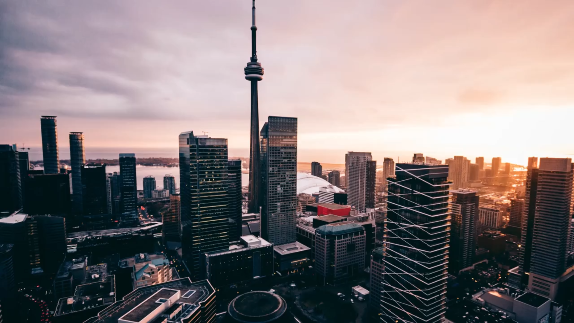 Colored Bars Transitions