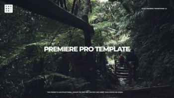 Scale Reverse Transitions V.2