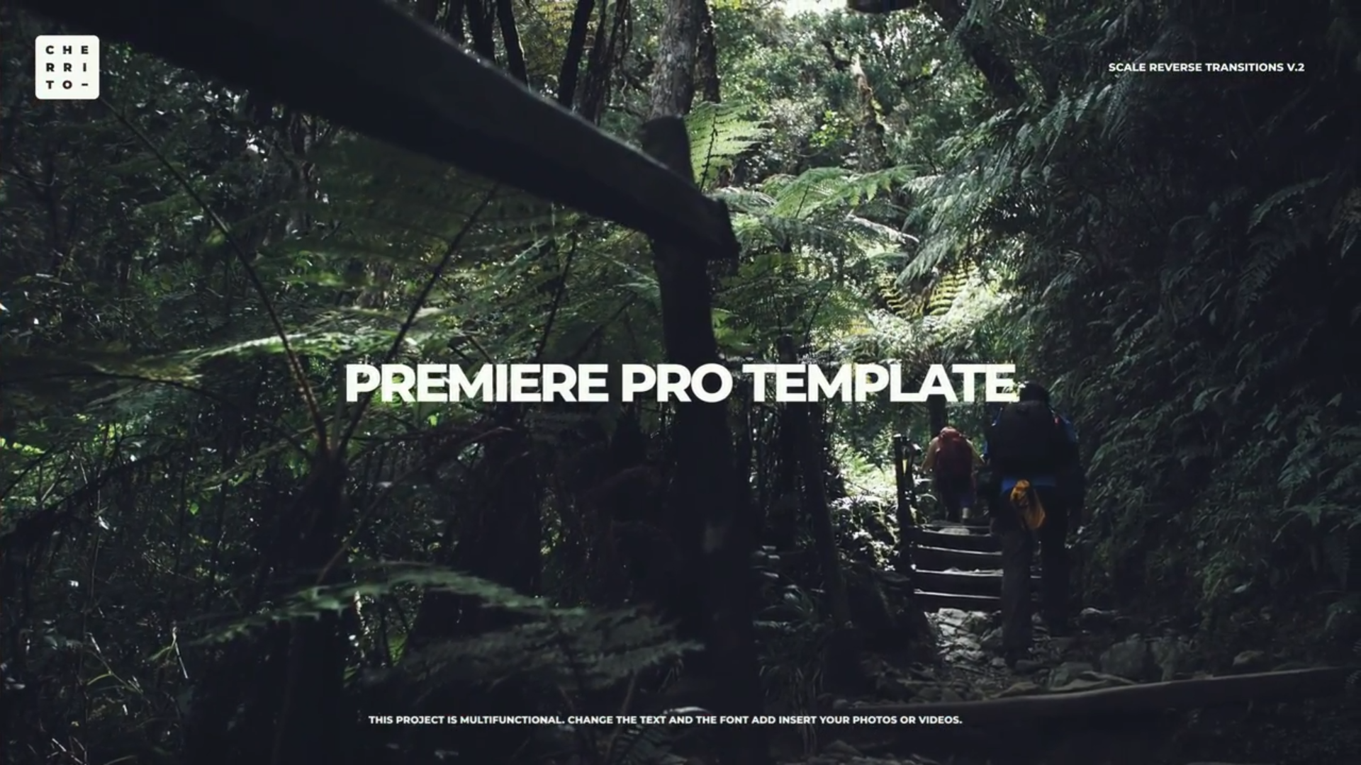 Scale Reverse Transitions V.2