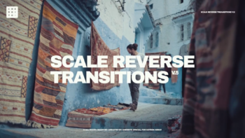 Scale Reverse Transitions V.5