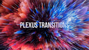 Particles Transitions