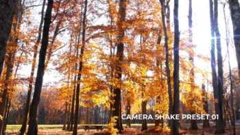 Camera Shake