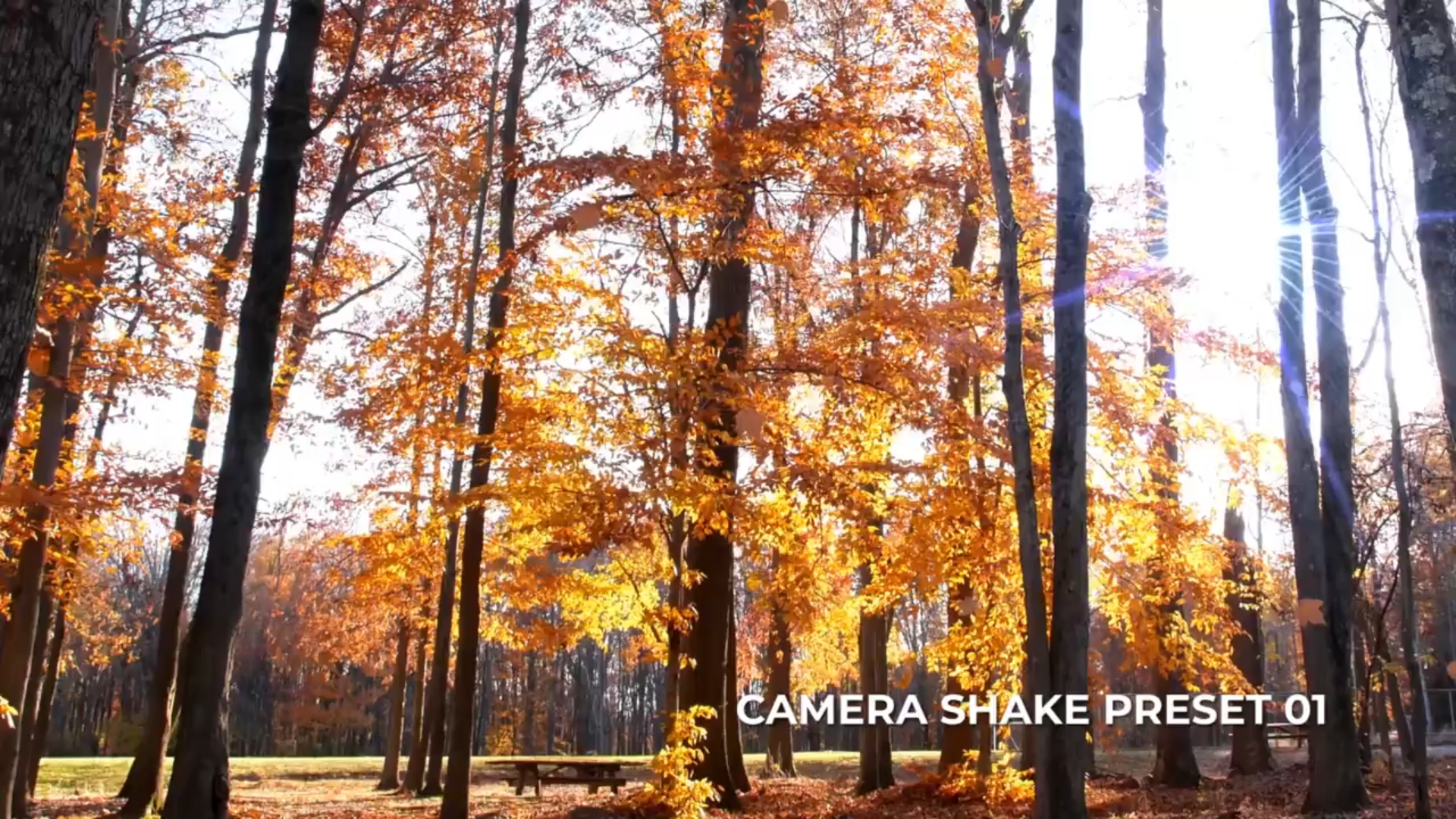 Camera Shake