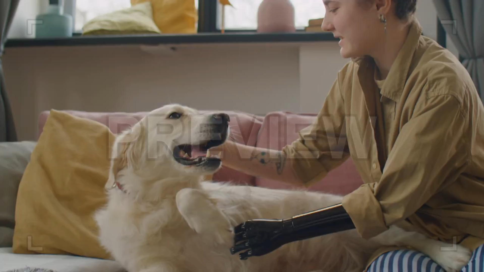 Woman Petting Dog On Sofa
