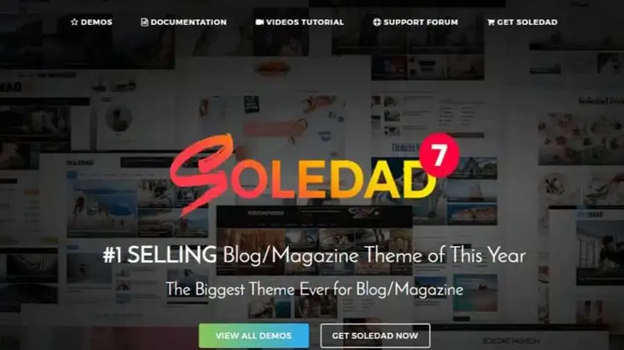 قوالب ووردبريس