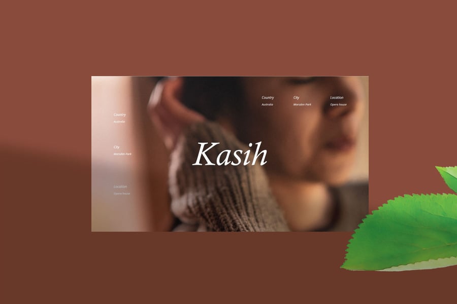 164 Laura - Laundry Service Powerpoint Template