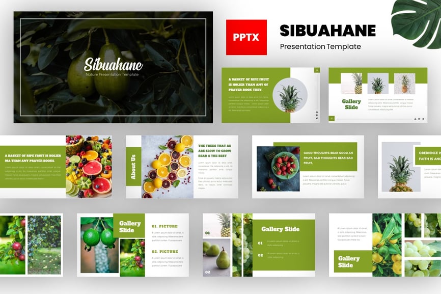 Sibuahane - Natural Powerpoint Template