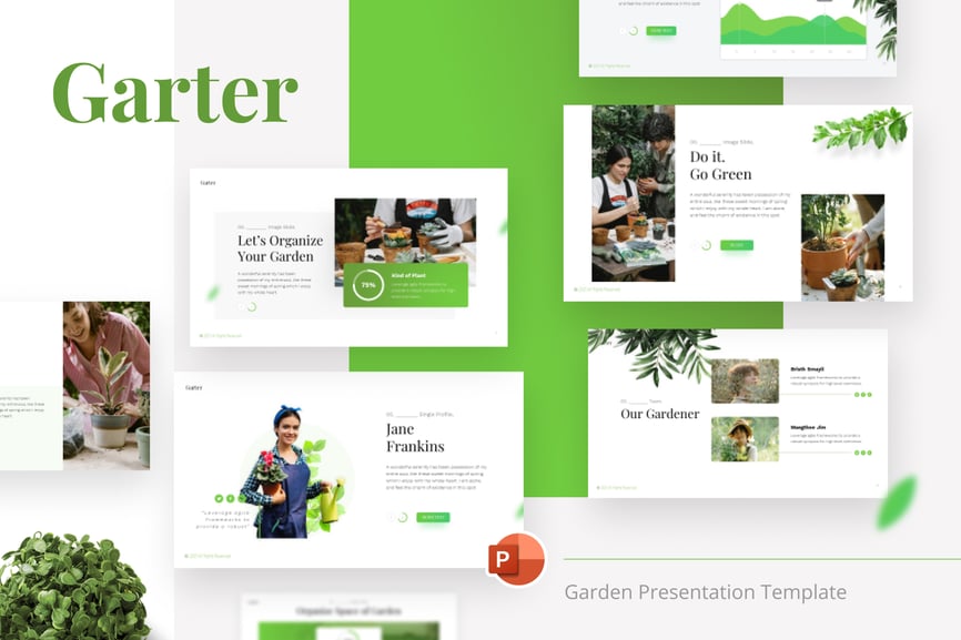137 Garter Garden PowerPoint Template