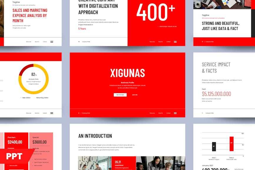 XIGUANAS - Digital Business Profile 001