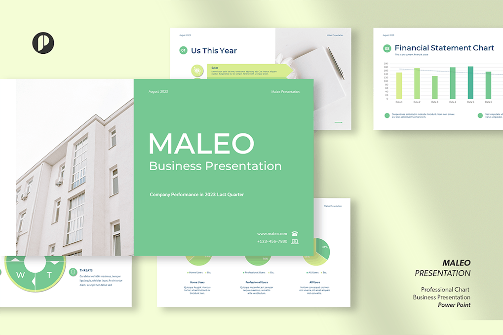 Maleo – professional chart business presentation