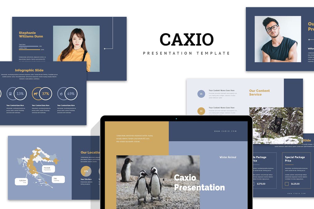 Caxio : Wildlife Powerpoint