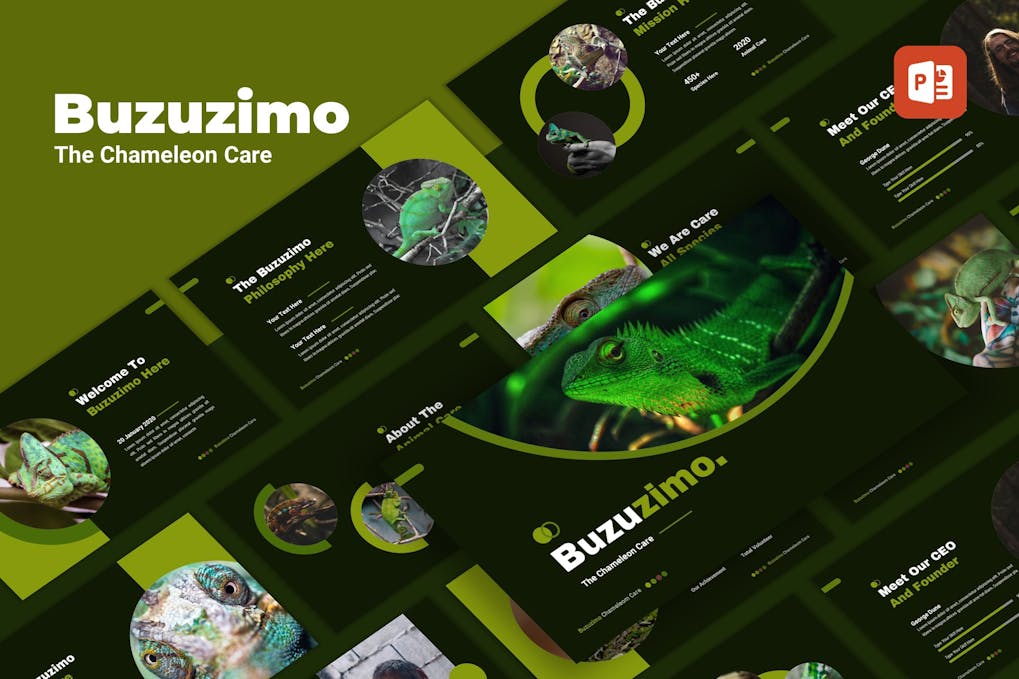 Buzunismo - Animal Care PowerPoint Template