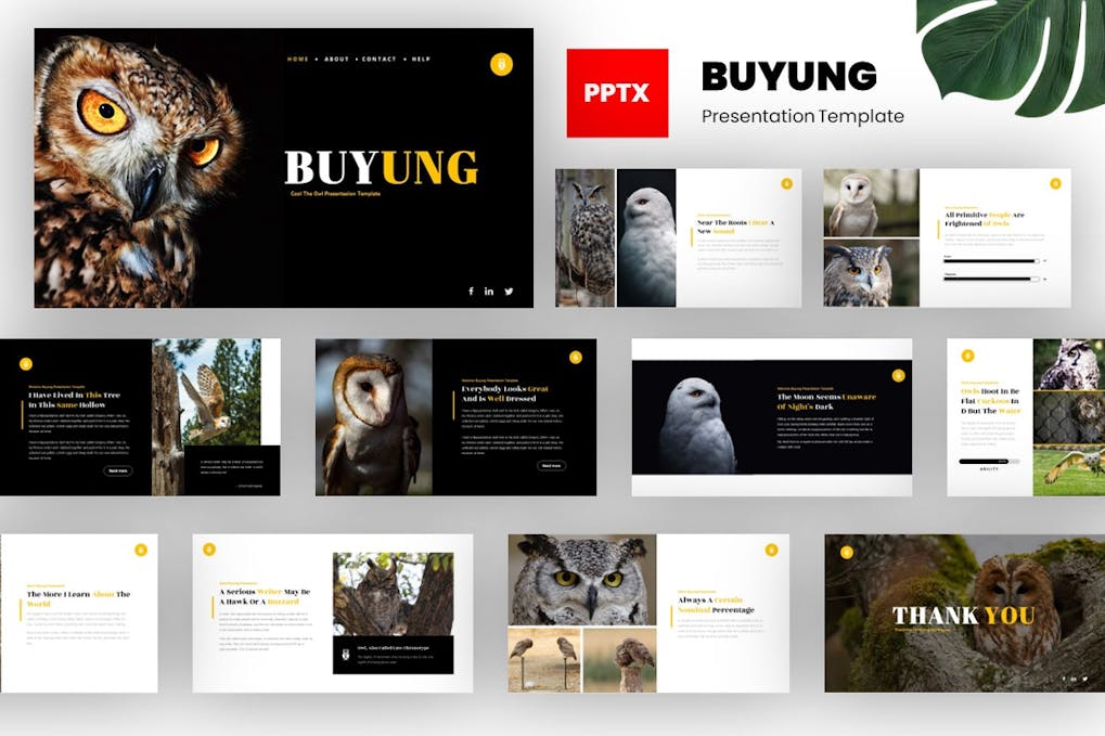 Buyung - Bird Animal Powerpoint Template