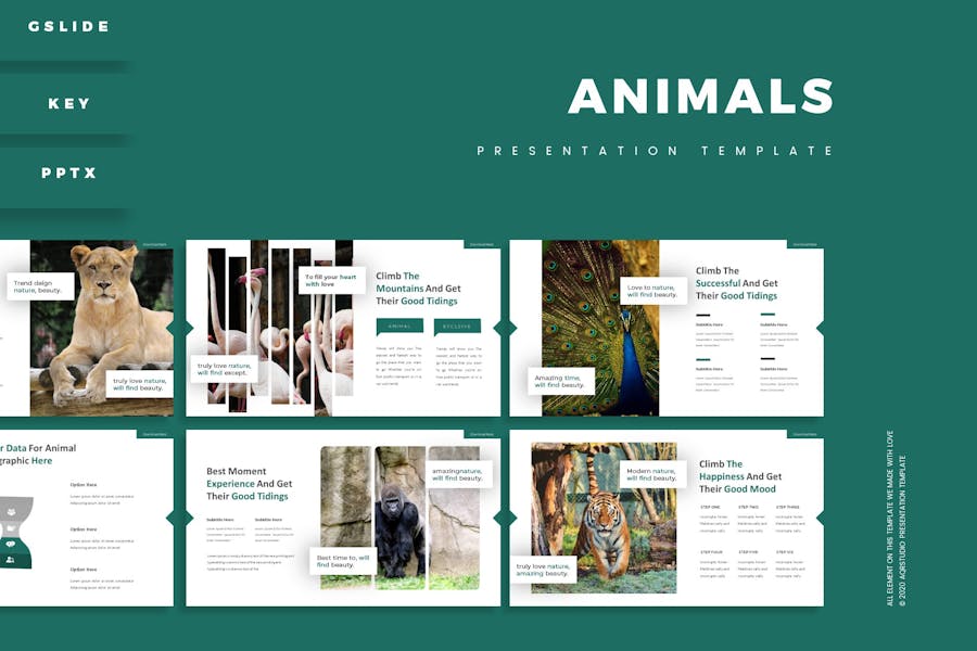 Animals - Presentation Template