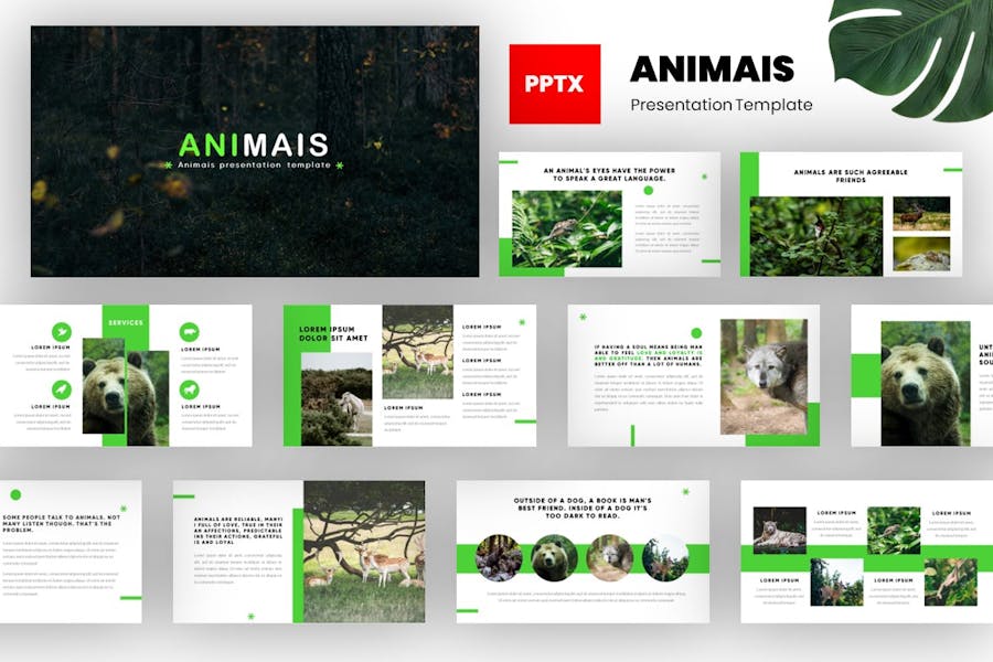 Animais - Animals Powerpoint Template