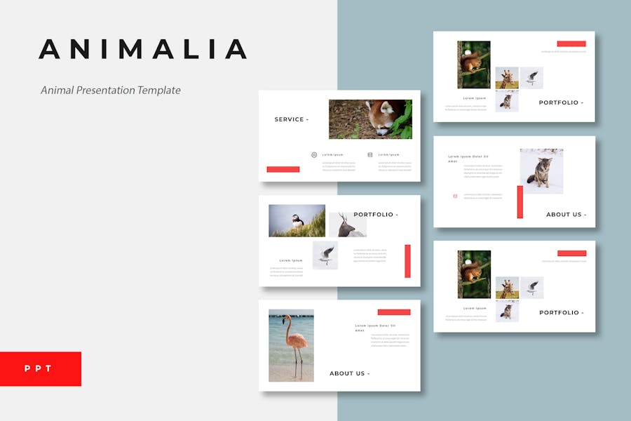 7 Animalia - Animal Powerpoint Presentation Template