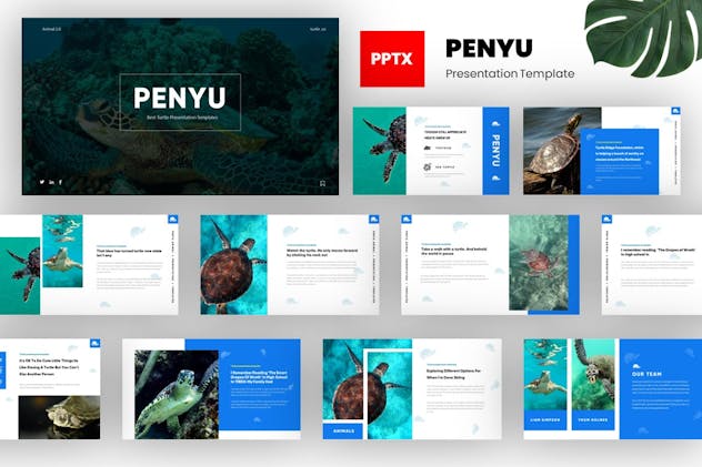 Penyu - Turtle Animal Powerpoint Template