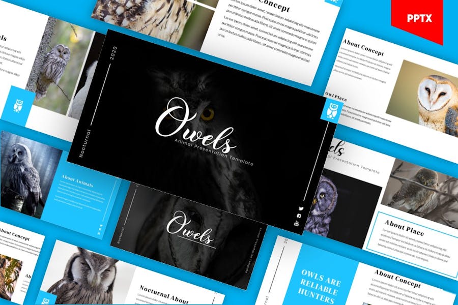 196 Owels - Bird Animal Powerpoint Template