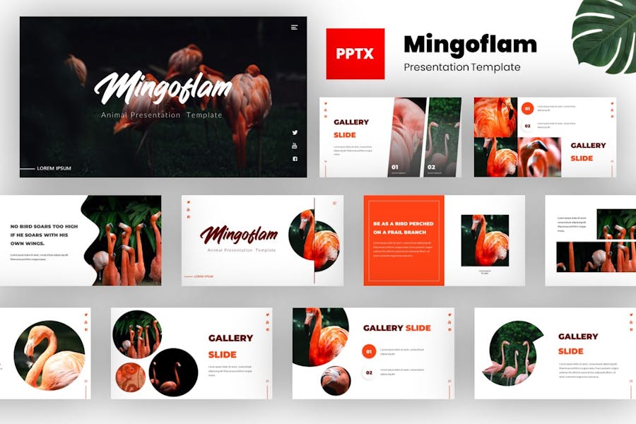 Mingoflam - Bird Animal Powerpoint Template