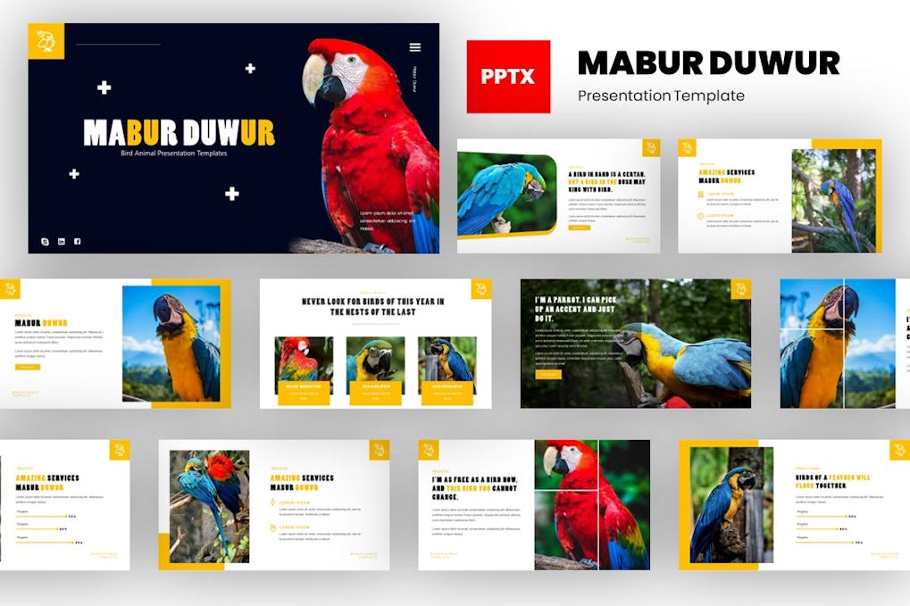 Mabur - Bird Animal Powerpoint Template