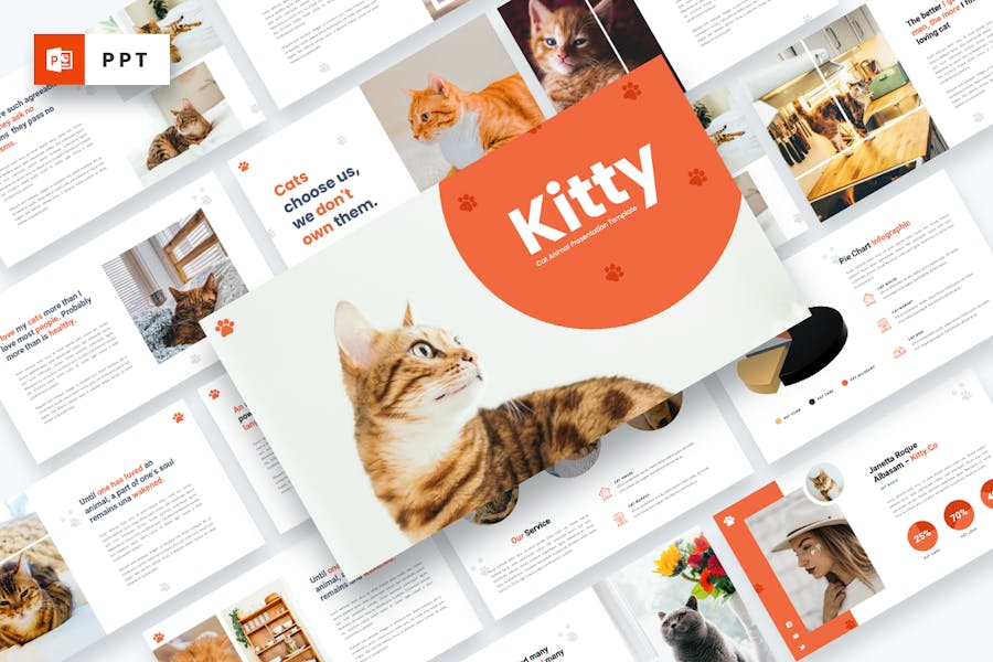 Kitty - Cat Animal Powerpoint Template