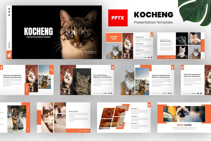 Kocheng - Cat Animal Powerpoint Template