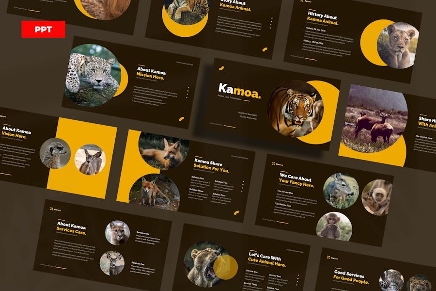 Kamoa Animal Care - Powerpoint Template