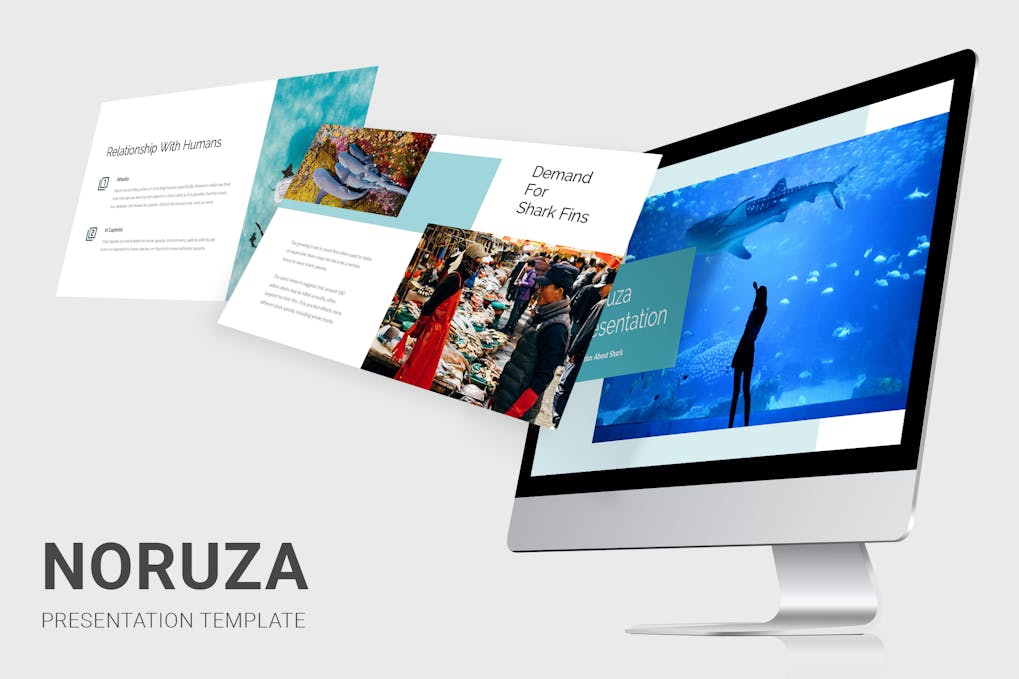 182 Noruza - Education About Shark Powerpoint