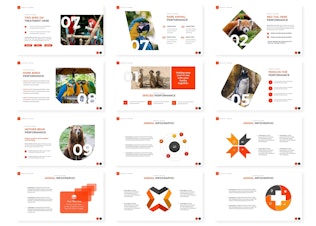 145 Lions - Powerpoint Template