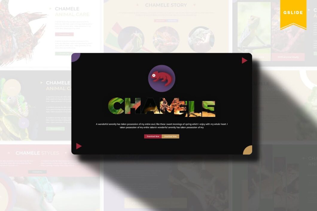 24 Chamele | Google Slides Template