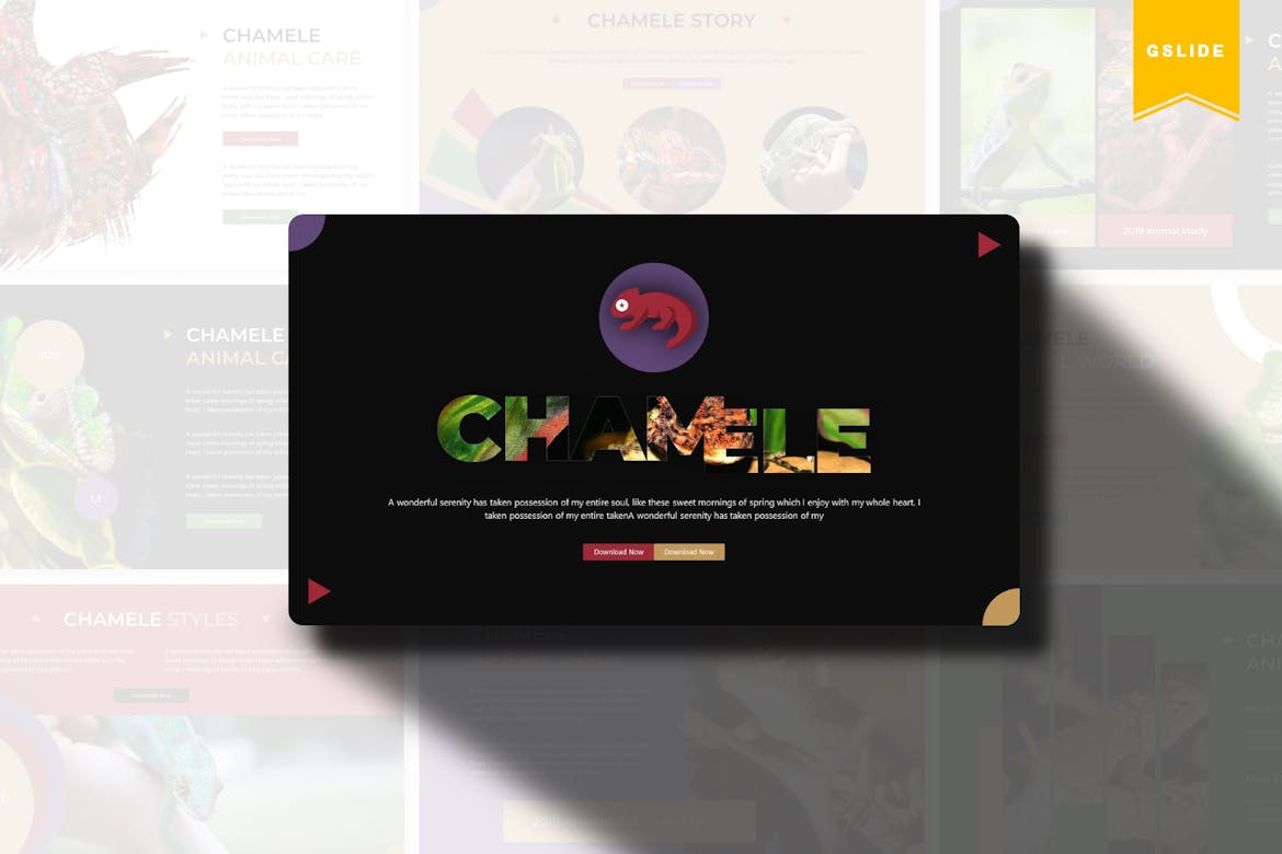 Chamele | Google Slides Template
