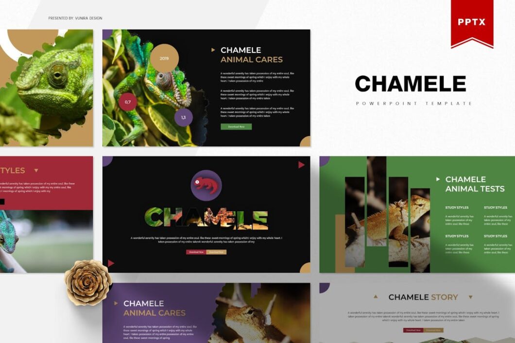 25 Chamele | Powerpoint Template