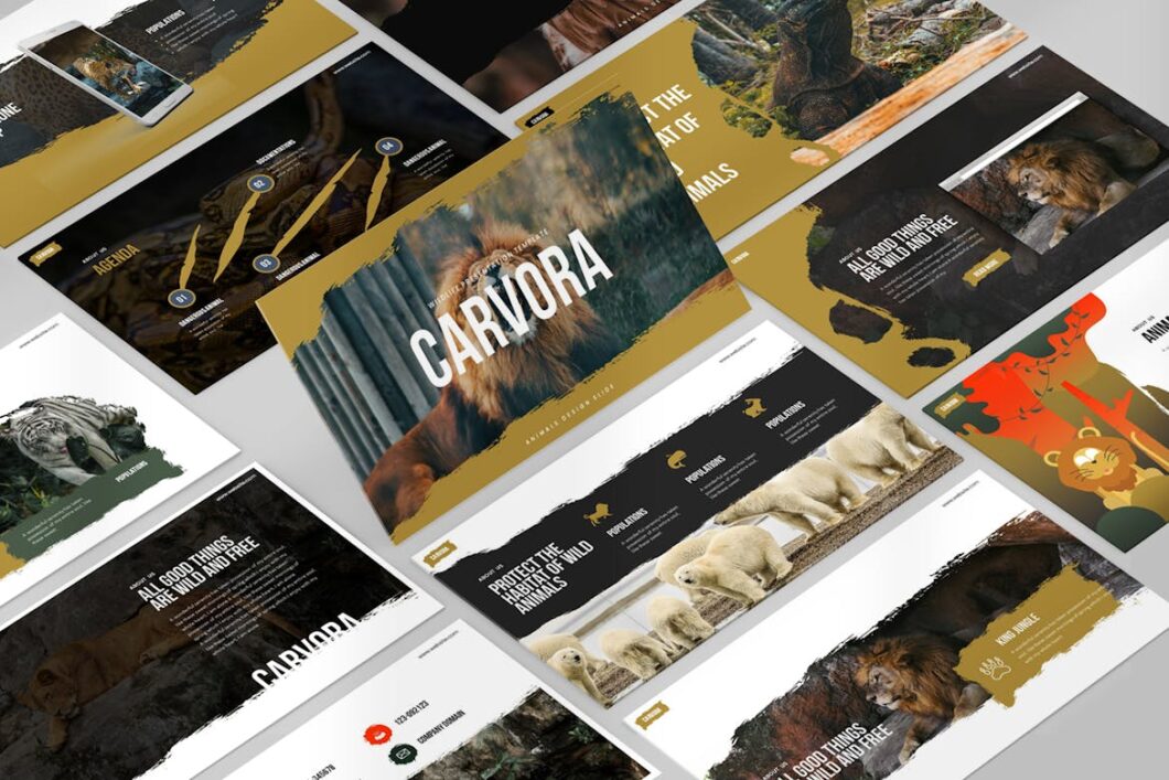 21 Carvora PowerPoint Presentation