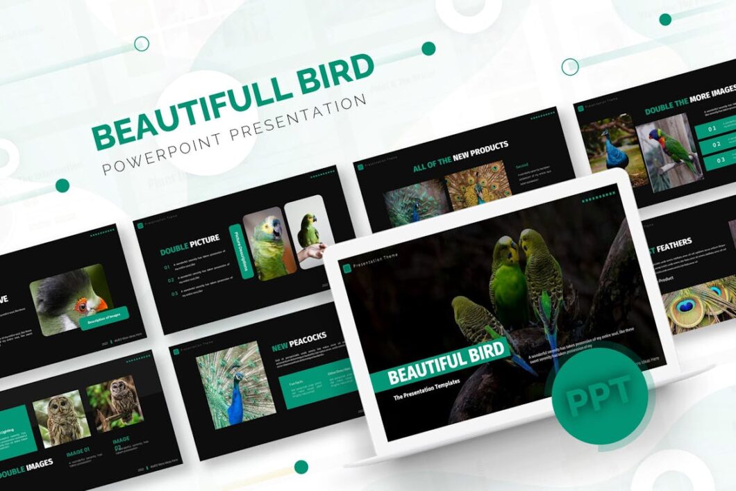 Beautiful Bird | Powerpoint Template