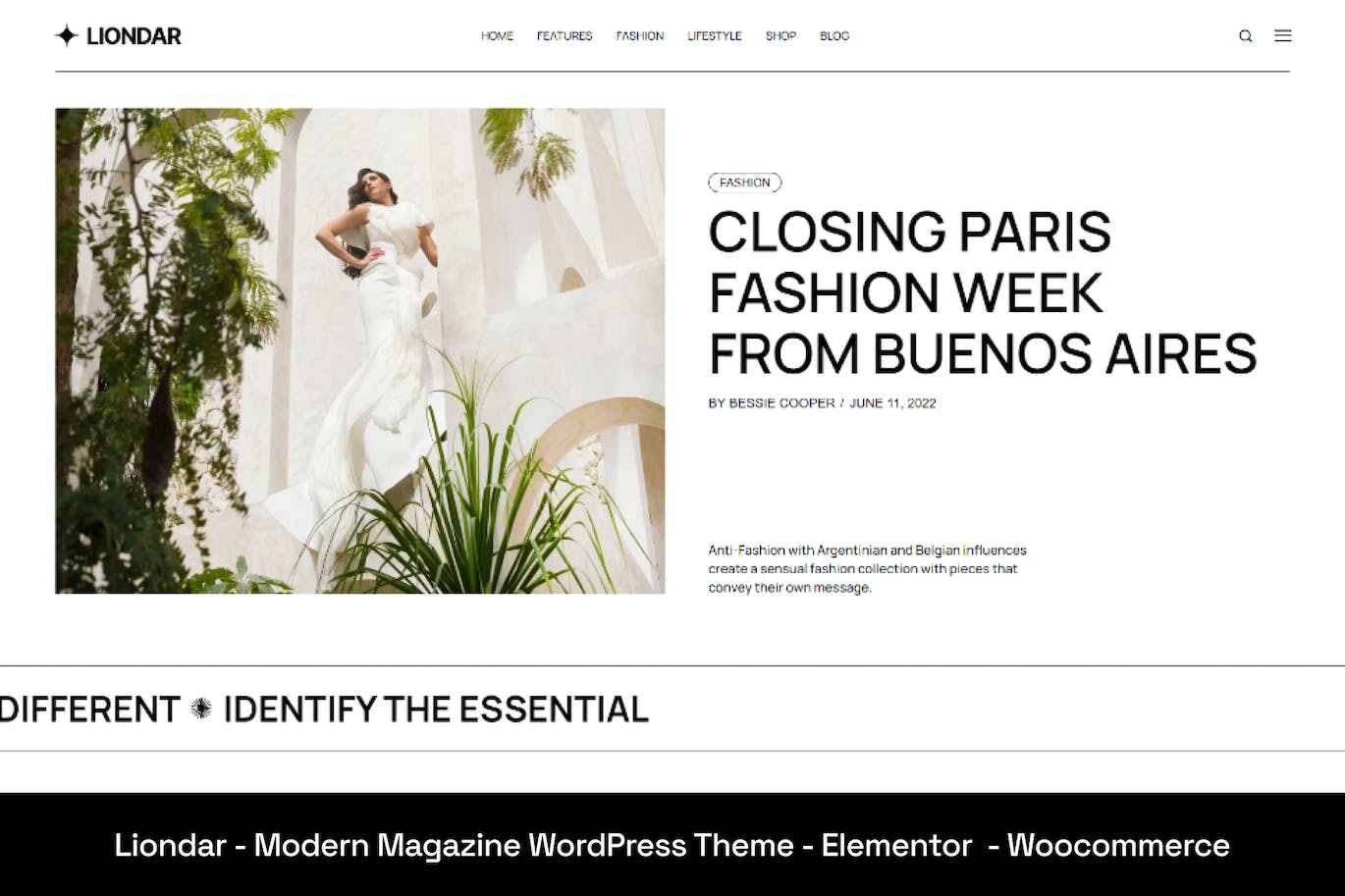 adc1fa73-30c2-4e0c-b247-8ad124a37a05 Liondar - Modern Magazine Theme