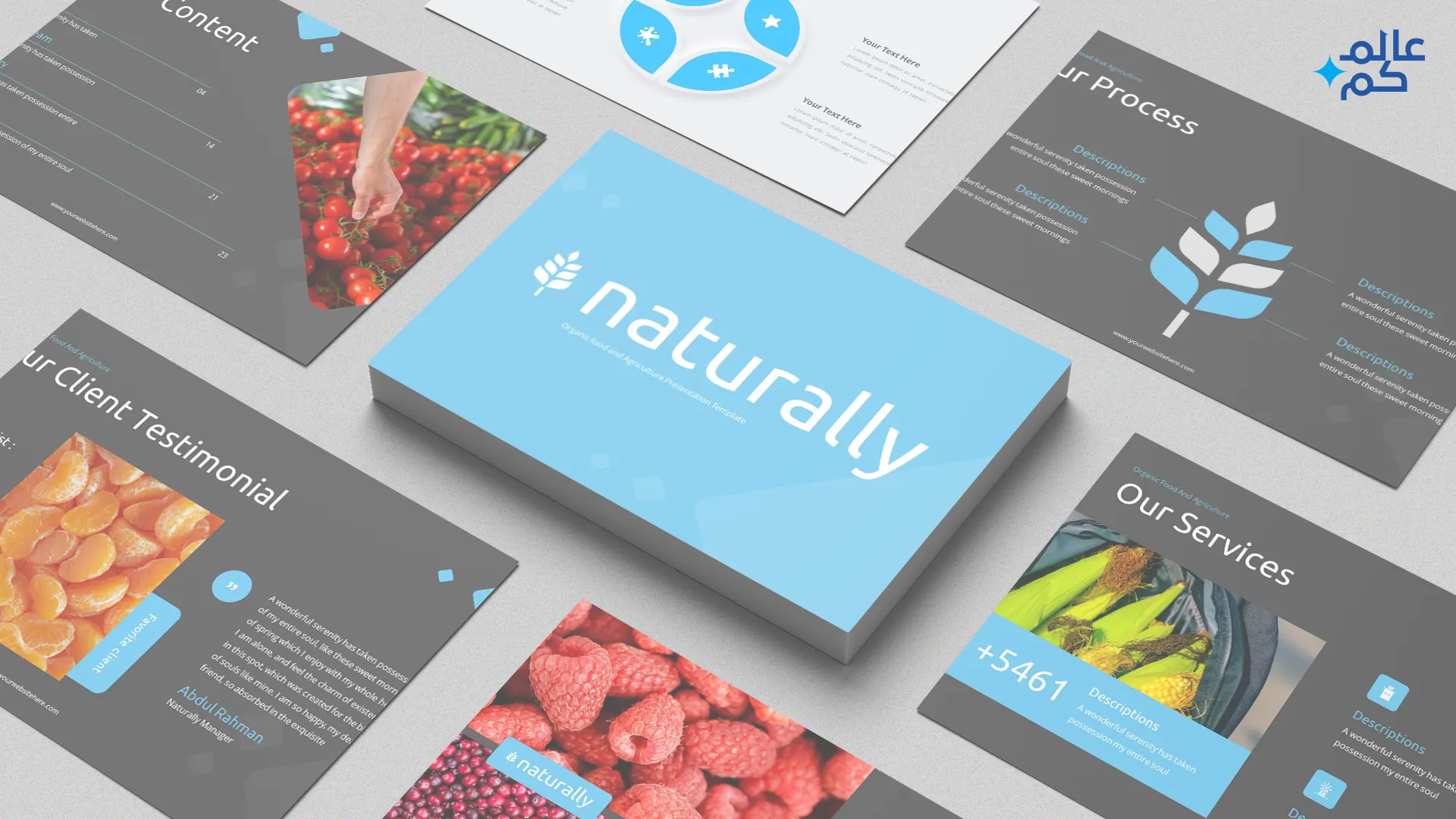 المصغرة (22) قالب بوربوينت 480 شريحة طرق التغذية الصحية مع ملحقات تصميم مميزة وشرائح انفوجرافيك وثيمات لونية